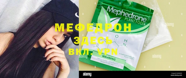 шишки Белокуриха