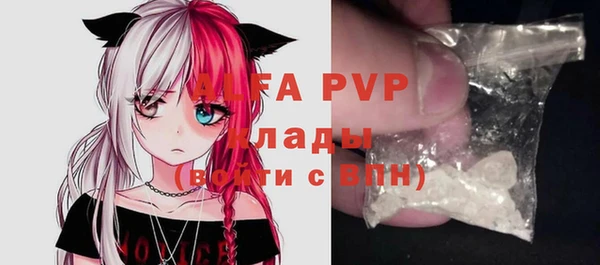 шишки Белокуриха