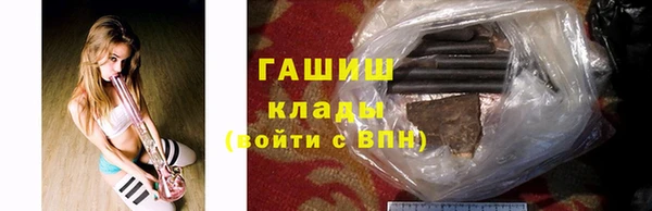 шишки Белокуриха