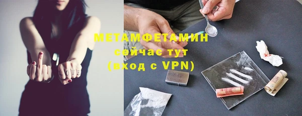 шишки Белокуриха