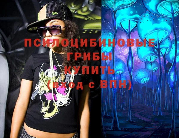 шишки Белокуриха