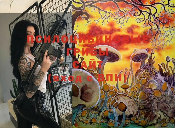 шишки Белокуриха