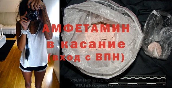 шишки Белокуриха