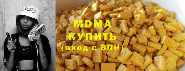 шишки Белокуриха