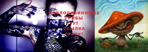 шишки Белокуриха