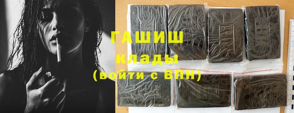 шишки Белокуриха