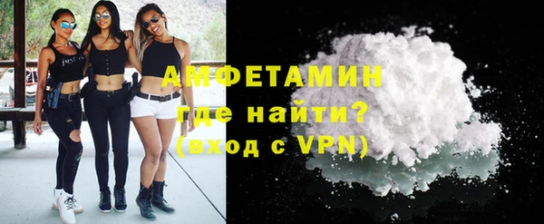 шишки Белокуриха