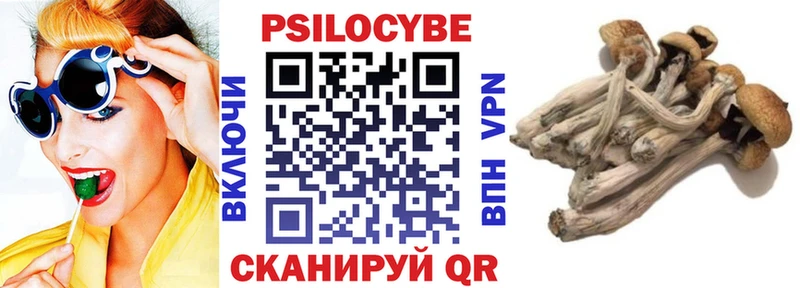 где можно купить наркотик  Константиновск  Галлюциногенные грибы прущие грибы 